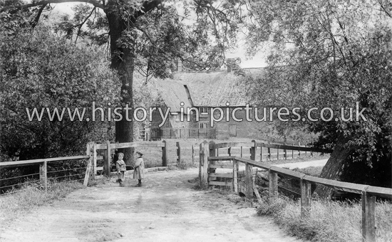 Kingsthorpe Mill. Northampton. c.1901